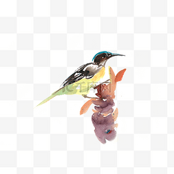 小鸟水彩图片_站立的小鸟水彩画PNG免抠素材