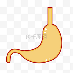 2.5D黄色的胃插画