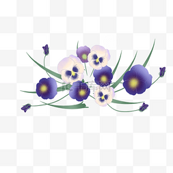 紫色花朵盆栽图片_漂亮的紫色花朵免抠图