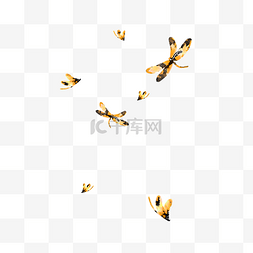 光盘水墨图片_水彩手绘水墨黄色蜻蜓