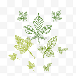 绿植边框装饰图片_手绘边框绿植装饰纹理树叶