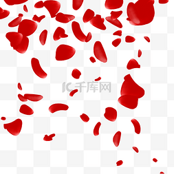 大红色的漂浮花瓣