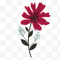 红色深红色图片_好看的一株深红色花朵