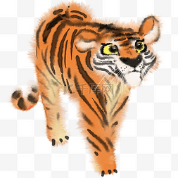 水彩动物手绘老虎PNG