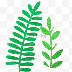 绿色的枝叶植物卡通