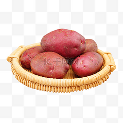 山芋图片_沙地红薯