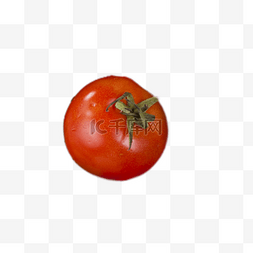 西红柿种植图片_营养丰富的西红柿