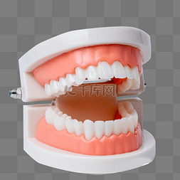 牙科元素图片_牙齿模型牙科牙医口腔卫生