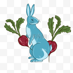 吃萝卜兔子插画