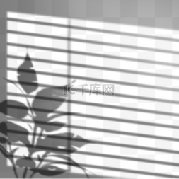 植物阴影图片_创意手绘阳光照射盆栽投影