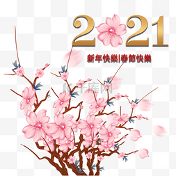 新年快乐快乐图片_中国春天粉红色的花朵花瓣2021新