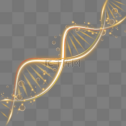 透明发光图片_金色dna抽象渐变线性光效分散的颗
