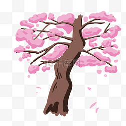 粉色樱花树木插画