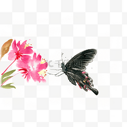 手绘蝴蝶花卉图片_红花与黑色蝴蝶