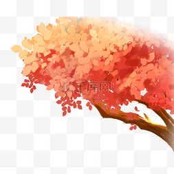 秋季大气图片_秋季树木