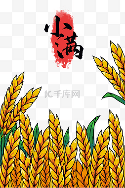 小麦中国风图片_小满节气丰收季节