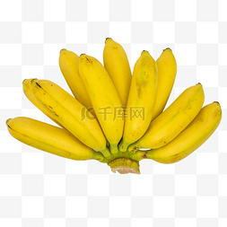 三调芭蕉扇图片_黄色芭蕉香蕉