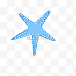 蓝色珍珠海星PNG