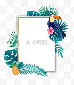 夏季植物菠萝图片_夏季热带植物和鸟类边框