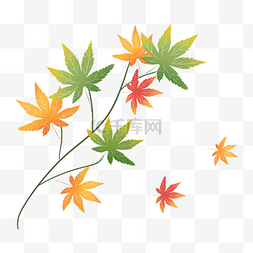 秋季黄树叶图片_枫叶树叶落叶秋天红叶子树枝绿枫