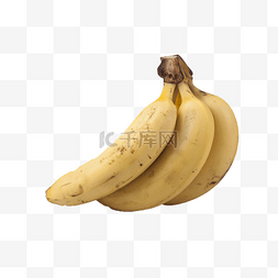 原生态植物图片_香甜美味的大香蕉