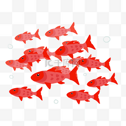 红色海洋鱼群