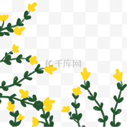 千姿百态图片_迎春花png