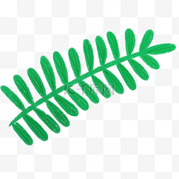卡通植物底纹图片_绿色的植物叶子卡通
