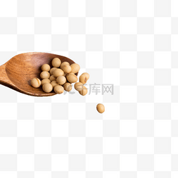 一勺营养丰富的黄豆
