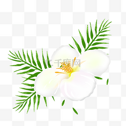白花檵木图片_绿叶白花矢量逼真鲜花