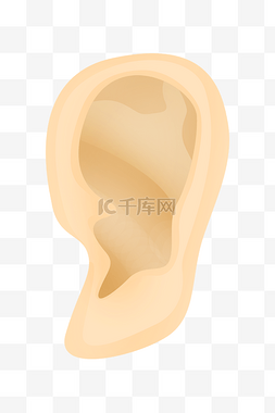 人体器官耳朵图片_五官器官耳朵插画