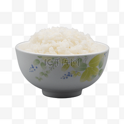 餐饮主食米饭