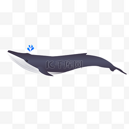 鲸鱼扁平卡通矢量图