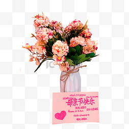 康乃馨花束母亲节礼物