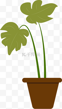 绿色盆摘植物下载