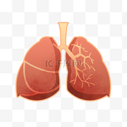 人体注释框图片_手绘人体器官肺