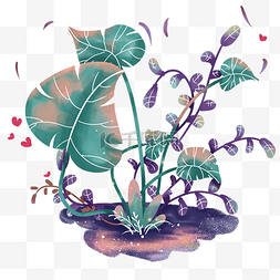 阳光植物线条图片_撞色热带树叶插画