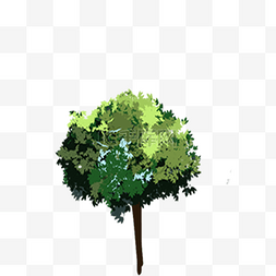 树木免扣PNG图图片_一颗茂密的小树木免扣图