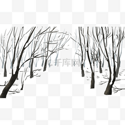 雪后的树林