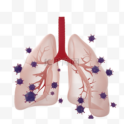 肺部冠状病毒感染3d元素