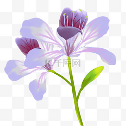 紫藤花长廊图片_精美淡紫色鲜花