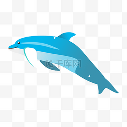 蓝色海洋海豚