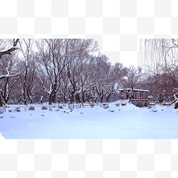 公园雪景图片_呼和浩特满嘟海公园冬季雪景