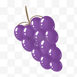 可爱水果葡萄图片_紫色晶莹可爱夏季紫葡萄