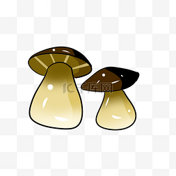 大肚子蘑菇