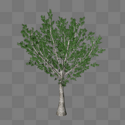 大树树木模型