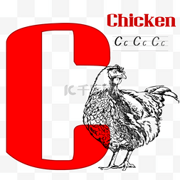 鸡可爱图片_字母c鸡素描可爱动物