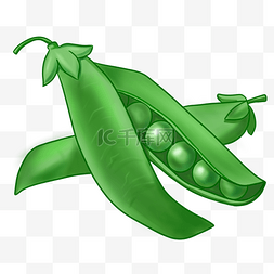 绿色有机蔬菜豌豆