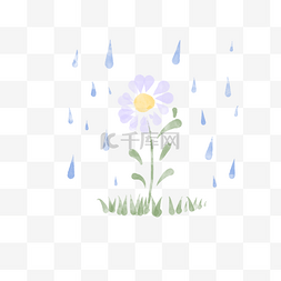 下雨水彩风小雏菊