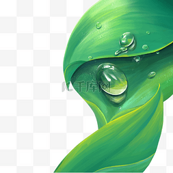 绿色水滴树叶图片_绿色大叶子水珠